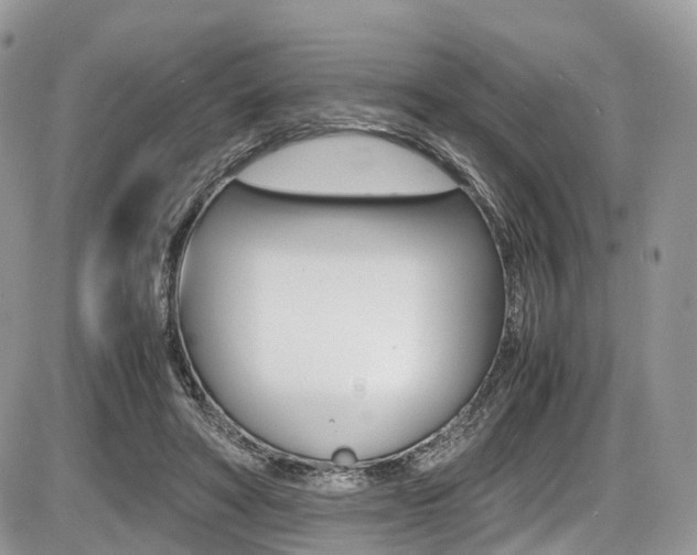 X0000087420402200704201051