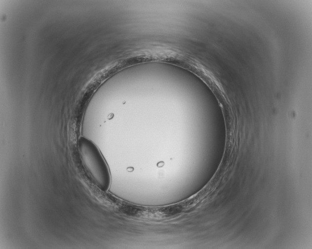 X0000087420403200704201050