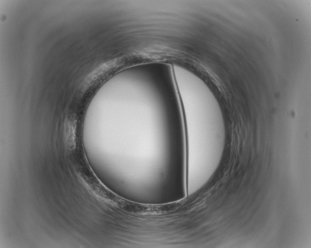 X0000087420404200704201050