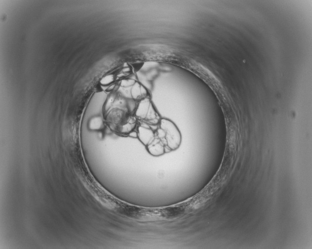 X0000087420405200704201050