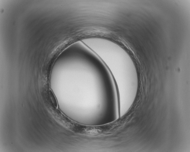 X0000087420407200704201050