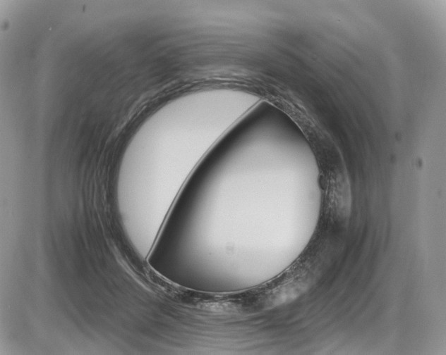 X0000087420408200704201050