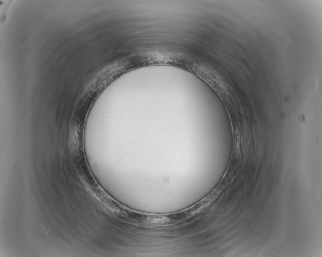 X0000087420410200704201050