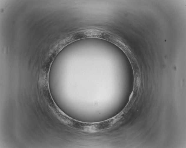 X0000087420411200704201050