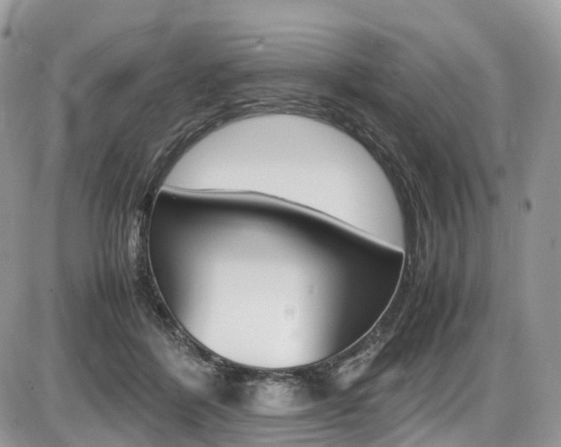 X0000087420412200704201050