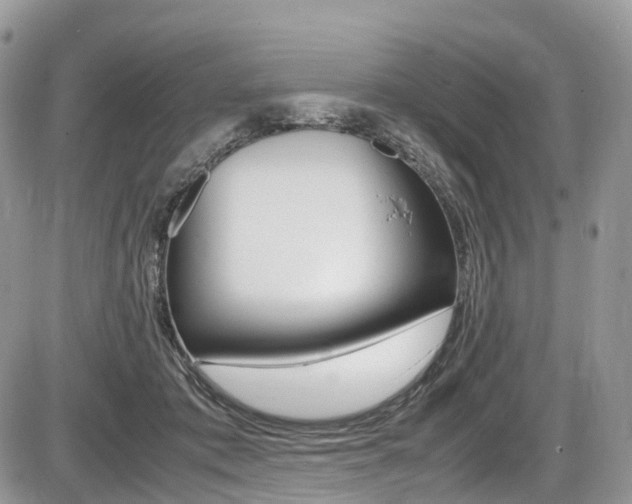 X0000087420413200704201050