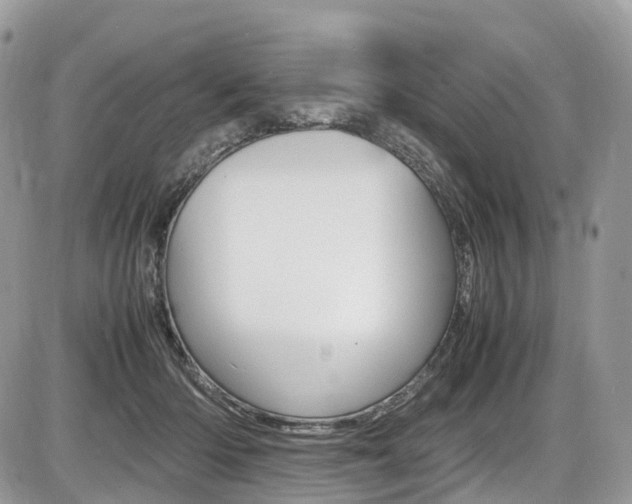 X0000087420414200704201050