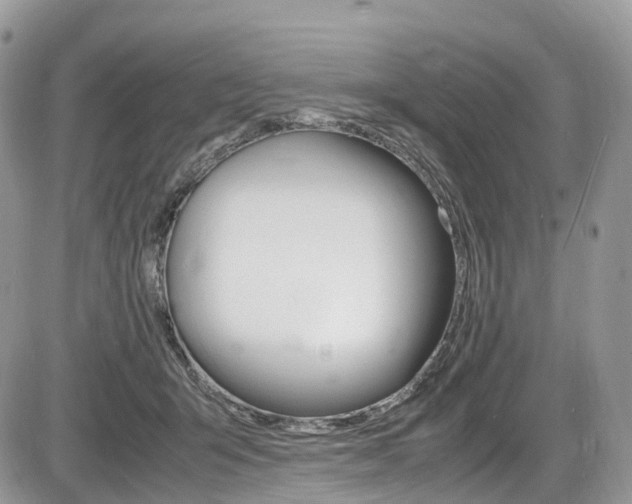 X0000087420415200704201050