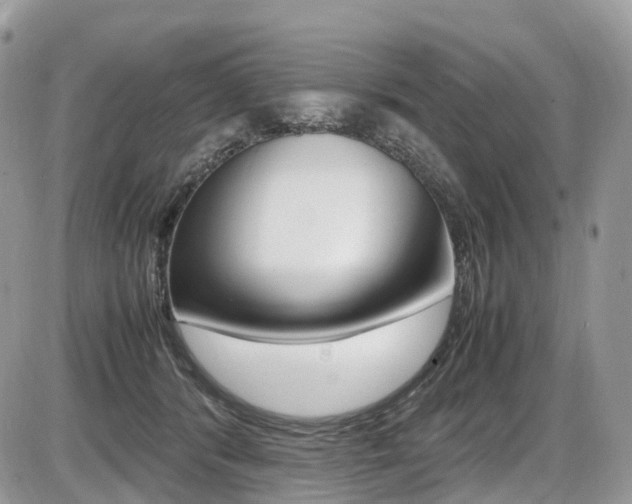 X0000087420416200704201050