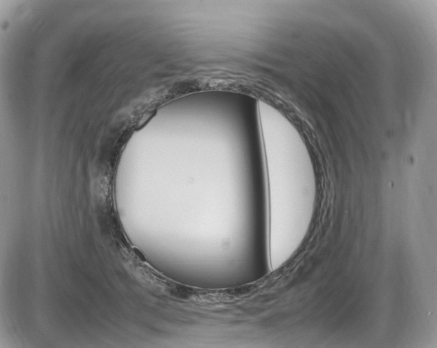 X0000087420417200704201050