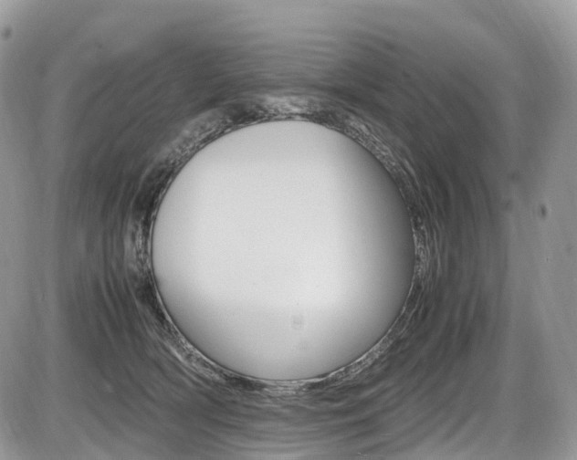 X0000087420418200704201050