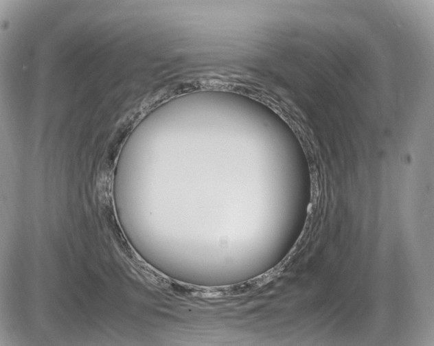 X0000087420419200704201050