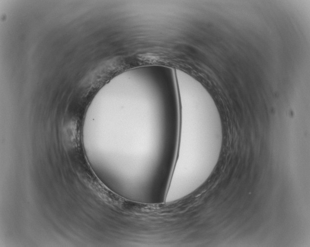 X0000087420420200704201050