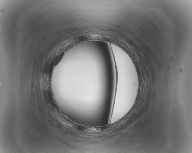 X0000087420421200704201050