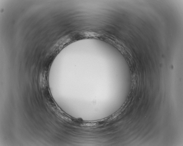 X0000087420422200704201050