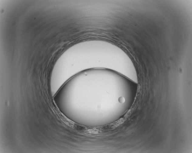 X0000087420423200704201050