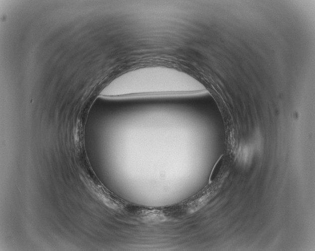 X0000087420424200704201050