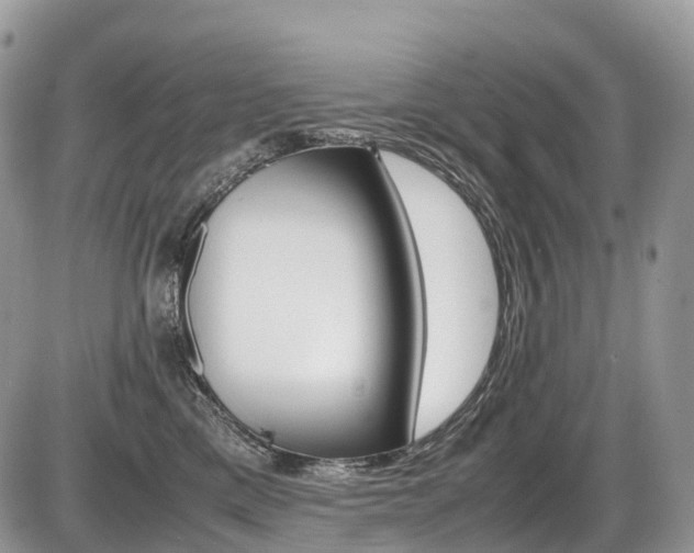 X0000087420425200704201050