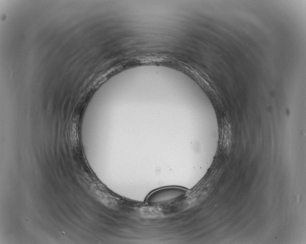 X0000087420426200704201050