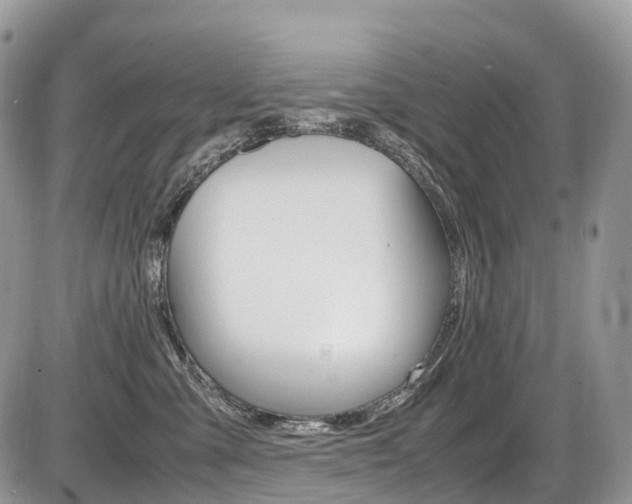 X0000087420427200704201050