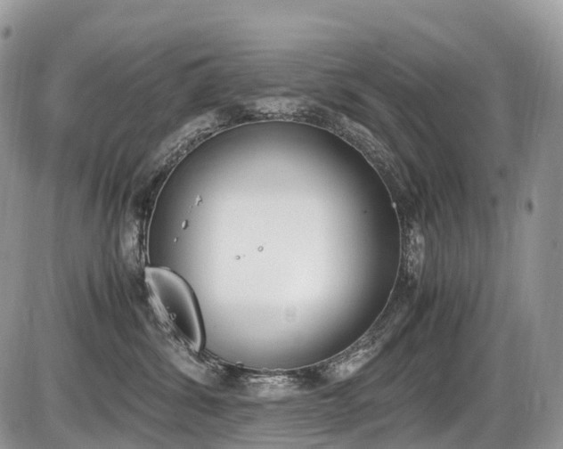 X0000087420428200704201050