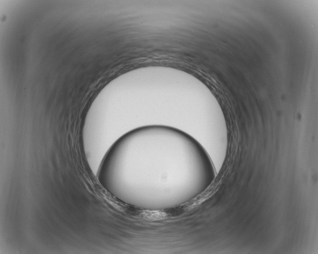 X0000087420429200704201050