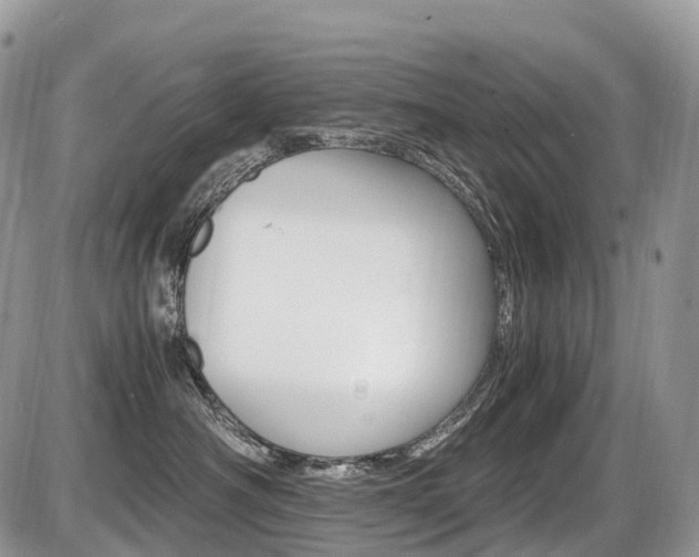 X0000087420430200704201050