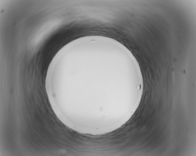 X0000087420431200704201050