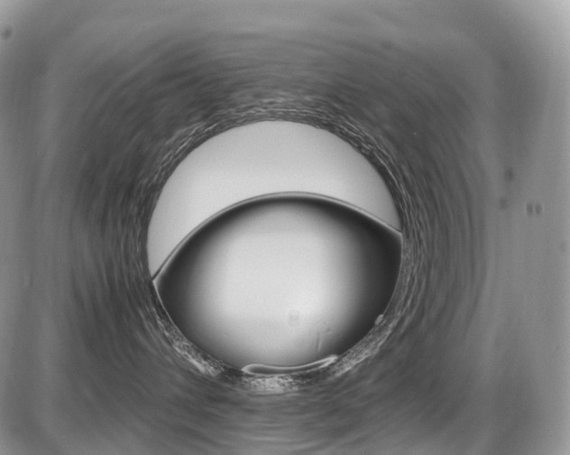 X0000087420432200704201050