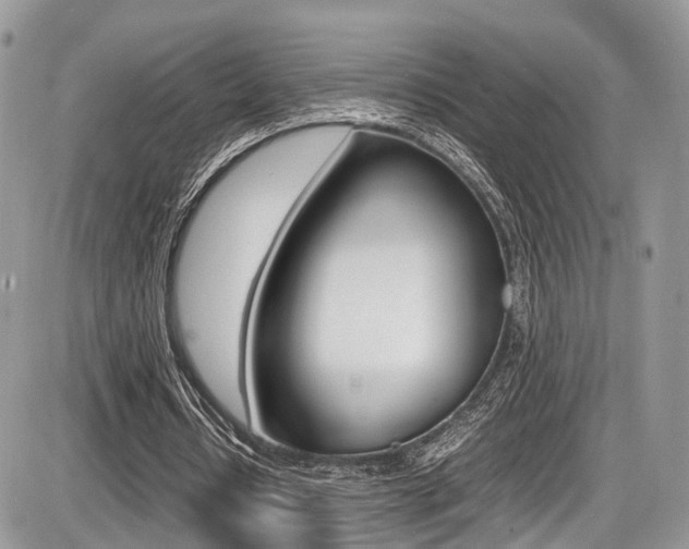 X0000087420434200704201049