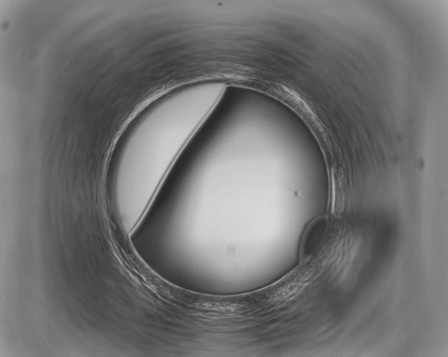 X0000087420435200704201049