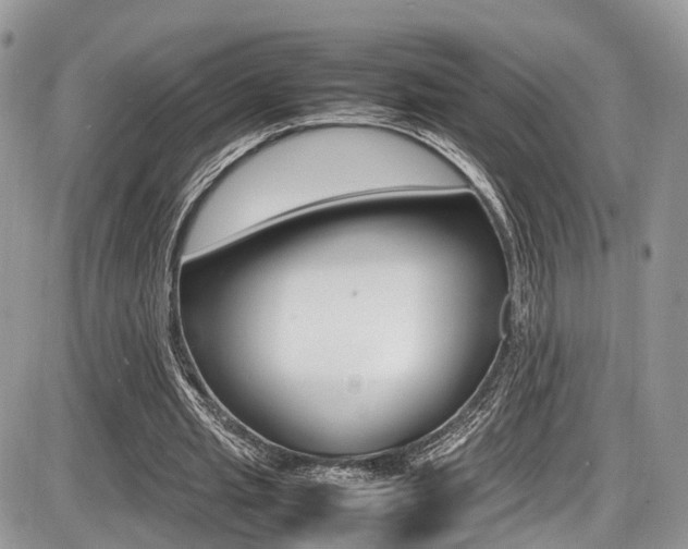 X0000087420437200704201049
