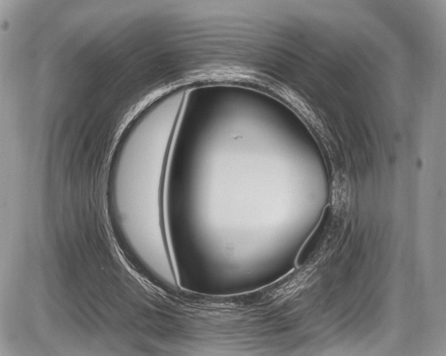 X0000087420438200704201049