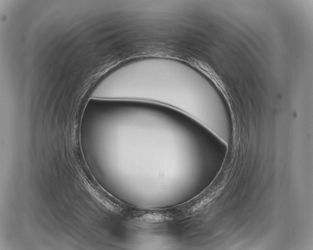 X0000087420441200704201049