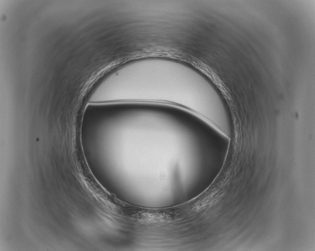 X0000087420442200704201049