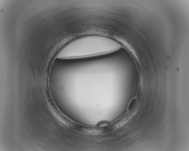 X0000087420445200704201049