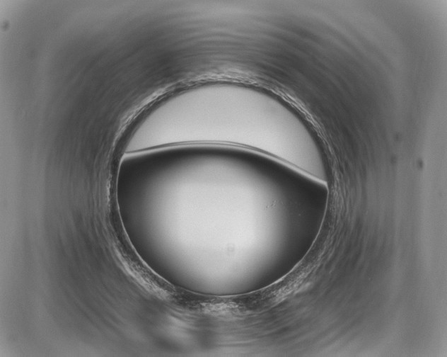 X0000087420446200704201049