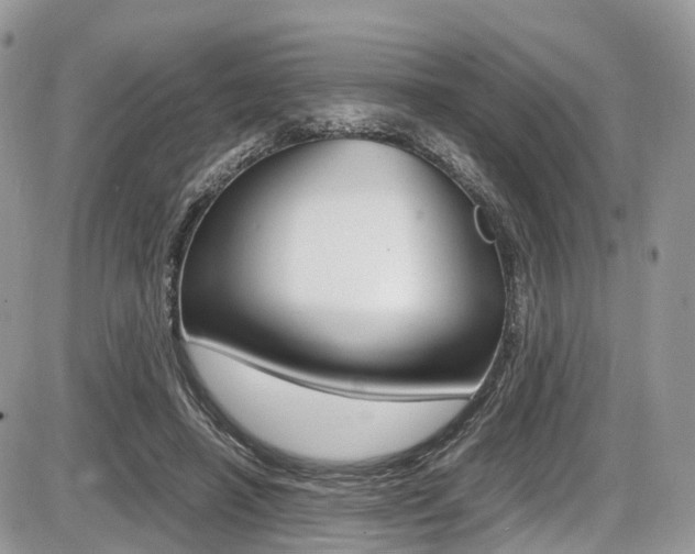 X0000087420450200704201050