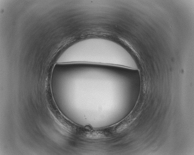 X0000087420451200704201050