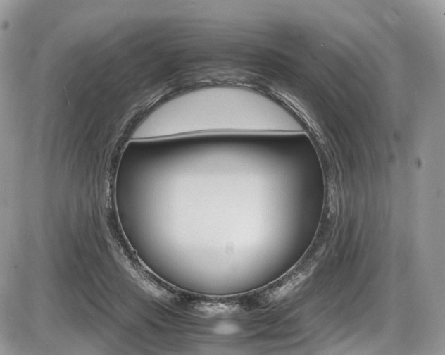 X0000087420453200704201050