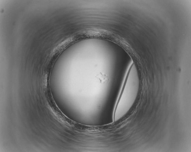 X0000087420454200704201050