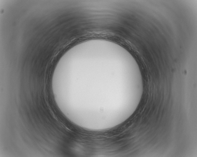 X0000087420456200704201050