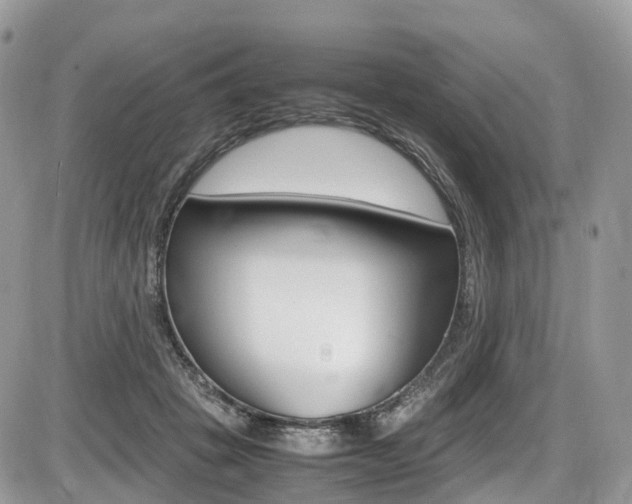 X0000087420457200704201050