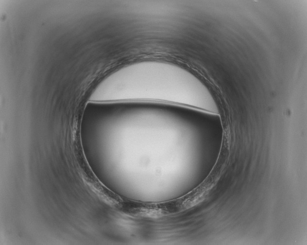 X0000087420458200704201050