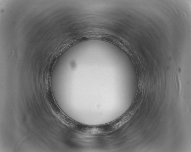 X0000087420460200704201050