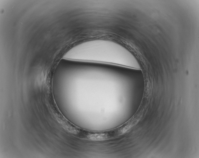 X0000087420461200704201050