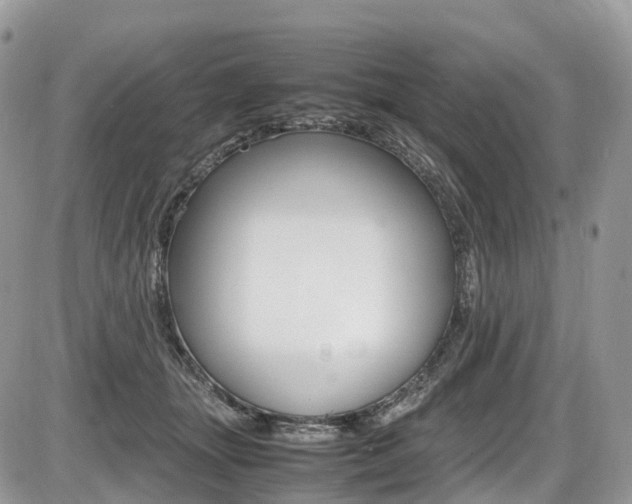 X0000087420463200704201050