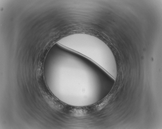 X0000087420464200704201050