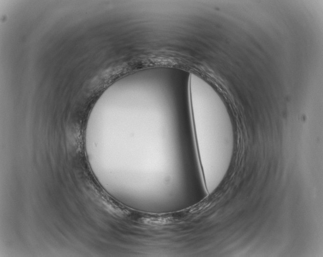 X0000087420465200704201050