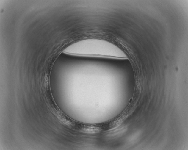 X0000087420467200704201050